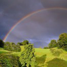 18383_Natur Regenbogen mit Bäumen 225 225.jpg